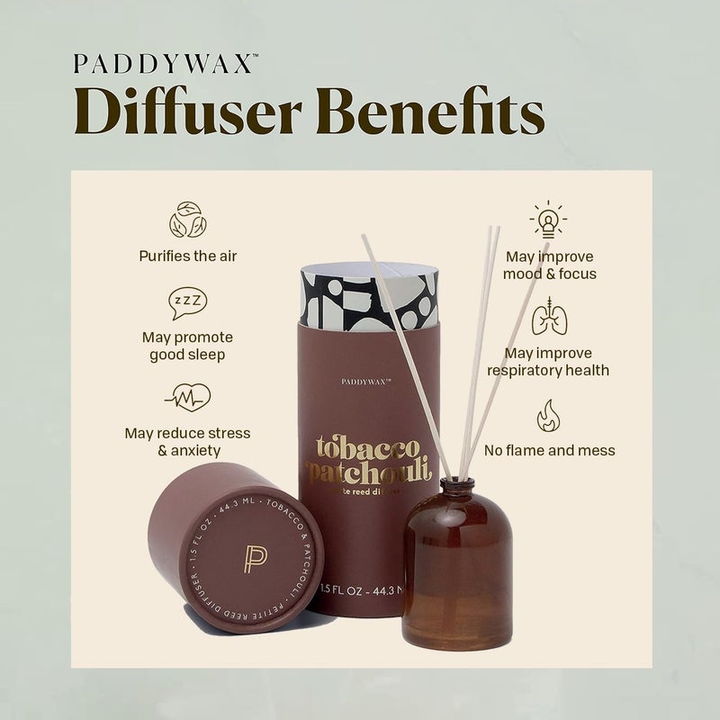 Paddywax Candles Petite Collection, Reed Diffuser for Home Use, Amber - Tobacco Patchouli - Image 5